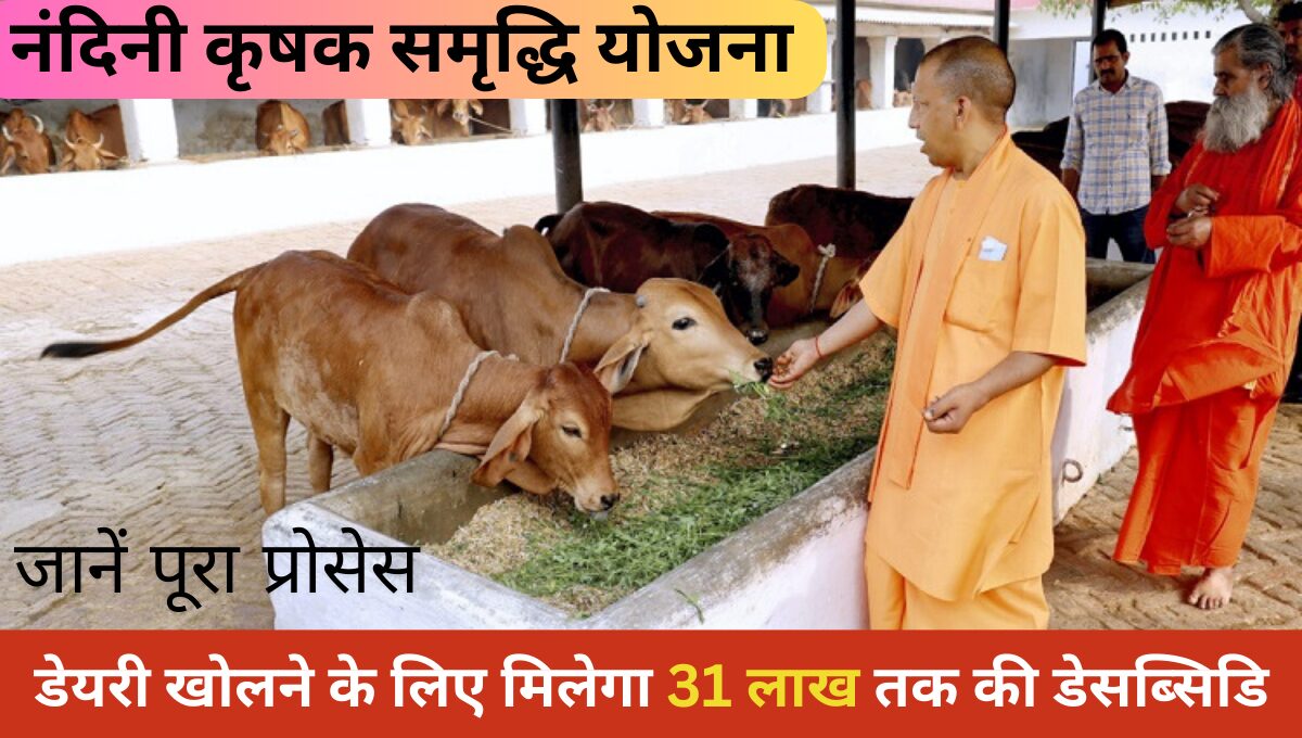 Nandani Krishak samridhi Yojana